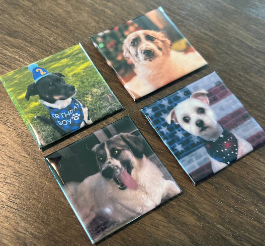 4pc Custom Magnet Set